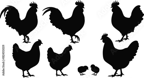 Black Silhouette Vector Set of Farm Chickens, Roosters, and Chicks, Illustrating Domestic Poultry in Various Poses for Farming, Agriculture, and Animal Design Projects.