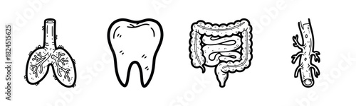 Black and white illustrations of human lungs, tooth, intestines, and artery