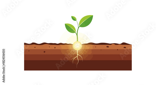 A small green plant grows out of brown soil with its roots visible and a bright light shining through from underneath.
