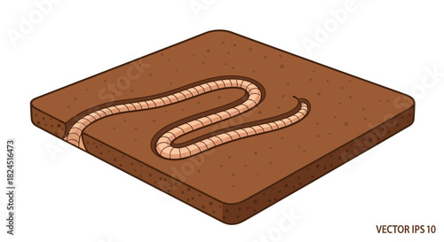 A vector illustration of a snake curled on a brown square platform with a rope texture, set against a white background in a flat lay style with warm tones.