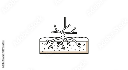 A line drawing of a cross-section of a plant growing in soil with roots and sprouts.