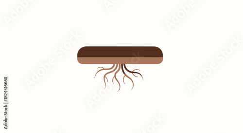 A brown root system grows from a cylindrical object on a white background in a flat lay composition.