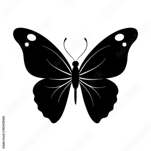 butterfly vector illustration