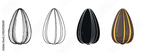 Set of four sunflower seed illustrations showing different artistic styles, including a rough sketch, clean line art, a solid black silhouette, and a full-color cartoon design