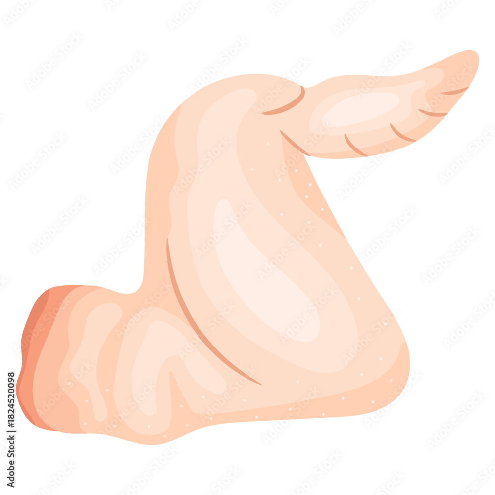Fototapeta premium Vector illustration of a fresh raw chicken wing