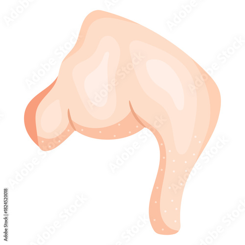 Vector illustration of a fresh raw chicken leg quarters