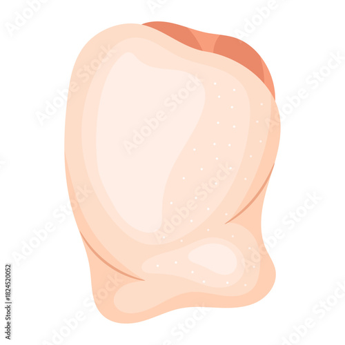 Vector illustration of a fresh raw chicken thigh