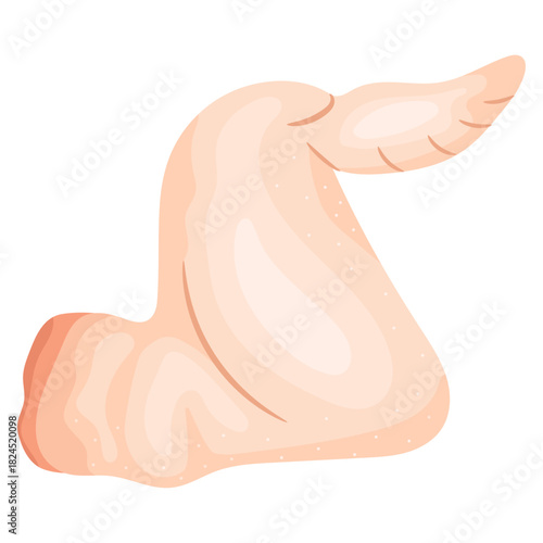 Vector illustration of a fresh raw chicken wing