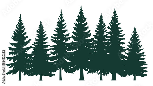 Evergreen pine tree forest line