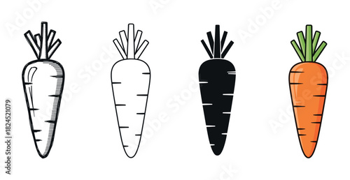 Set of four carrot illustrations showing different artistic styles, including a detailed sketch, a simple outline, a black silhouette, and a flat color cartoon version