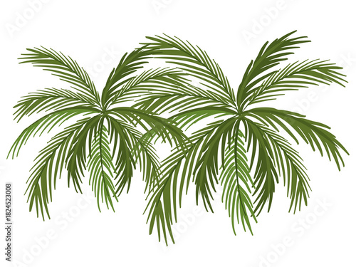 Two palm trees on black background illustration