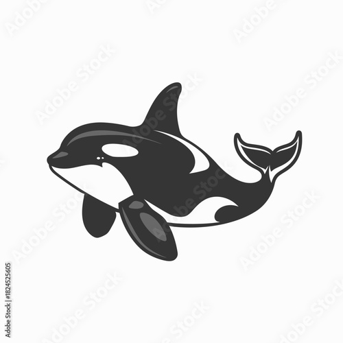 Stylized Orca Illustration: Majestic Killer Whale Marine Mammal Vector Graphic on White Background for Wildlife Concepts