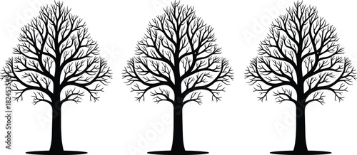 Silhouette of three leafless winter trees with detailed branches, natural landscape illustration perfect for forest designs, seasons, environment, and nature themes