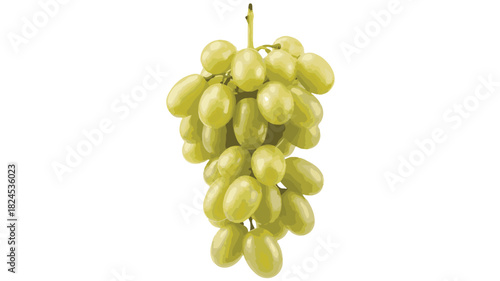 Bunch of Green Grapes with Water Droplets on White Background fruit cluster