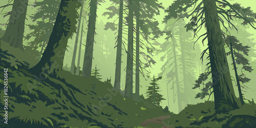Misty Forest Path Solitude Vector – Serene Nature Illustration Featuring Conifer Trees, Ferns, and Peaceful Exploration