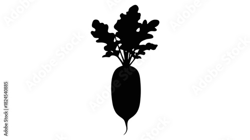 Silhouette of a fresh daikon radish with green leaves