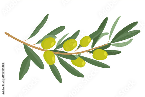 Charming watercolor-style olive branch with vibrant green leaves and yellow olives. Ideal for greeting cards, packaging, or any design needing a fresh, natural touch.