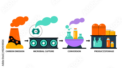 Carbon capture process infographic in flat style colorful sustainability concept