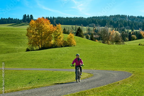 pretty woman riding her ele...