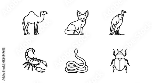 Minimalist desert animal icons collection in linear style