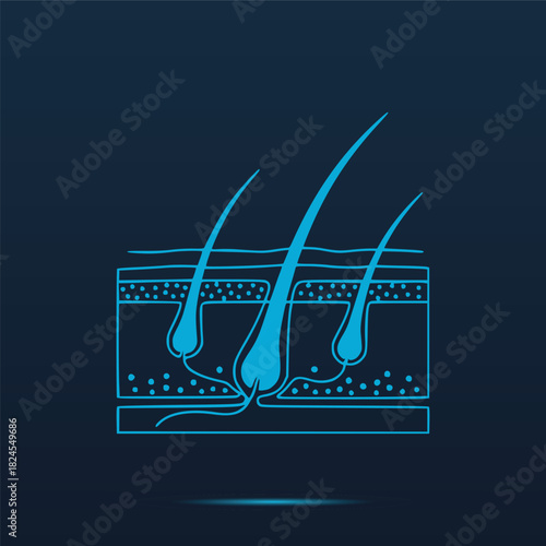 Detailed Anatomical Diagram Of Healthy Hair Follicle Structure Deep Within The Human Skin Layers Medical Illustration Representing Dermatology Treatments And Cosmetic Science Vector Icon Des