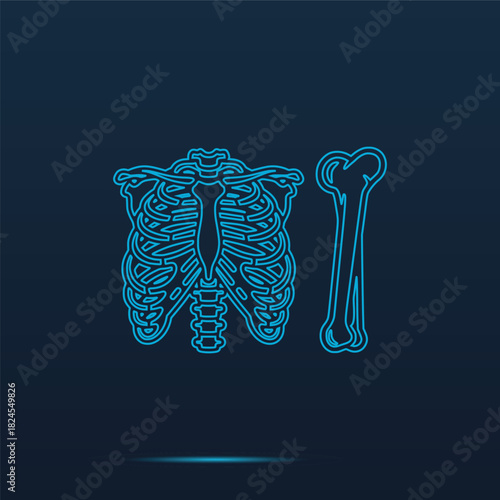 Scientific Vector Illustration Featuring Detailed Glowing Blue Line Art of Human Thoracic Rib Cage Skeleton Structure and a Separate Long Bone Diagram Representing Anatomy and Medical Scienc
