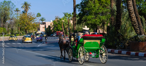 A horse-drawn carriage on a sunny street with lush greenery and palm trees. Marrakesh, Morocco