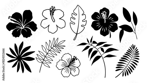 Doodle tropical flowers and leaves vector illustration scalable collection eps