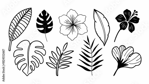 Doodle set of 10 tropical leaf and flower mix vector illustration scalable eps