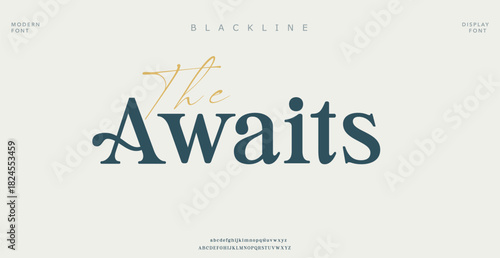Elegant alphabet letters font logo. Typography luxury classic lettering serif italic fonts decorative wedding vintage retro logos. vector illustration