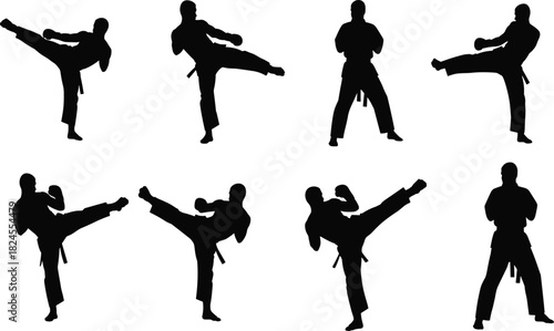 Vector set of dynamic karate and martial arts fighter silhouettes showing various high-kicking and defensive poses for training, combat, and sport design.