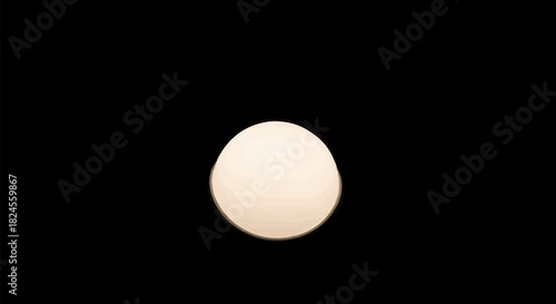 Single white egg isolated on a black background.