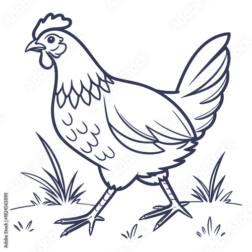 Outline drawing of a chicken walking in grass on white background vector illustration