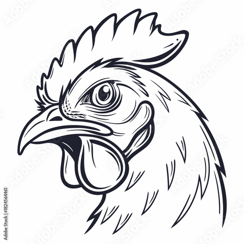 Detailed Line Art Illustration of a Rooster Head on White Background chicken bird