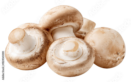 Fresh mushrooms, isolated on transparent background, organic ingredient, clean minimal photo