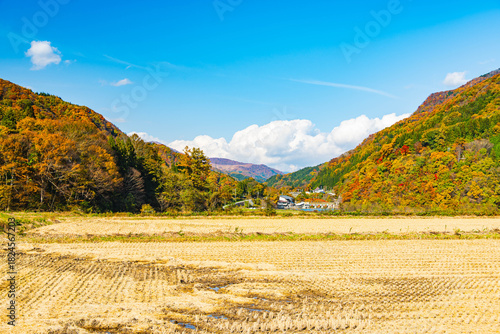姫川ダム付近の田園風景と紅葉