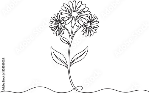 Elegant daisy flower in single line art style, minimalist vector illustration, simple botanical design