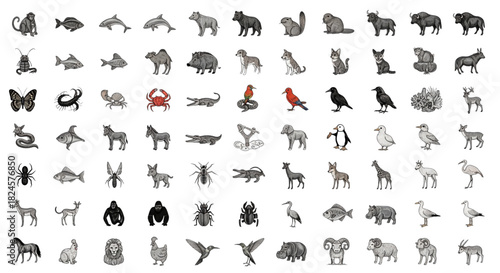 Diverse Animal Icons Set for Educational Materials Wildlife Encyclopedia Web Design Projects