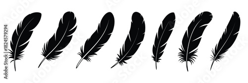 Set of bird feather icons featuring black quill, pen symbol, plumelets, flat style vector design, isolated on white background, perfect for creative projects, print, web and stationery.