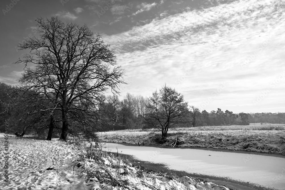 Fototapeta a frozen pond and snow-covered bushes and trees in the forest