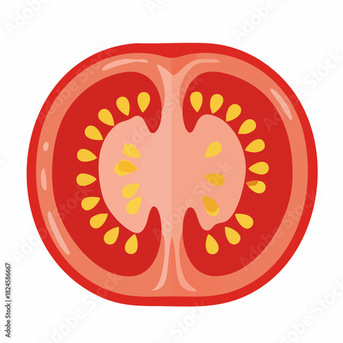 Cross-Section of a Ripe Red Tomato with Seeds.