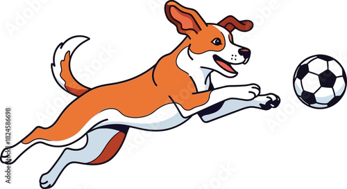 dog playing football illustration on white background