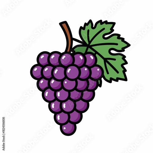 Bunch of purple grapes with green leaf, fresh and delicious fruit.