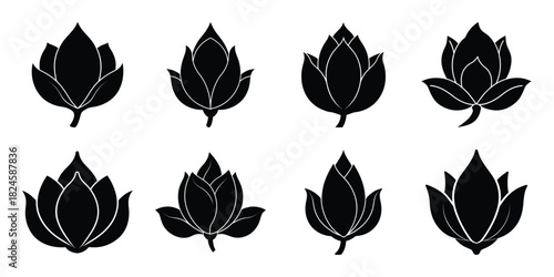 magnolia bud flowers vector icon set. Flowers isolated on transparent background. Flowers in modern simple.