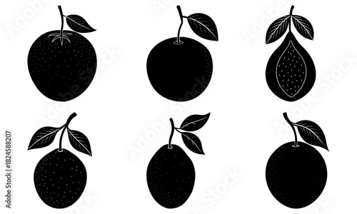 Delicious citrus collection with oranges and guava offering vibrant refreshment and healthy eating, originally a scalable vector graphic for diverse design needs