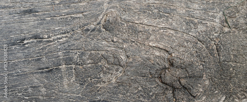 ligneous background, dark brown table surface. rustic wood texture.