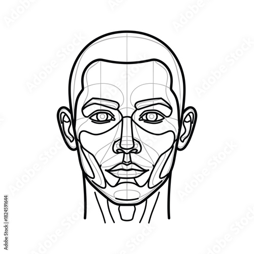 Abstract human face line art with geometric construction guidelines for anatomy study and design vector