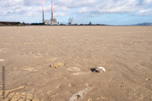 Close-up of Seashell on Sandymount Beach with Iconic Poolbeg Stacks in Background