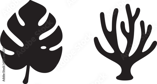 Black monstera leaf and coral silhouette on white background vector