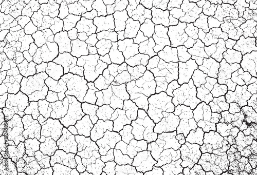 Distressed Black and White Cracked Earth Texture